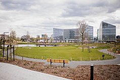 Vilnius inaugurates its new Japanese Garden