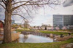 Vilnius inaugurates its new Japanese Garden