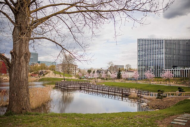 Vilnius inaugurates its new Japanese Garden