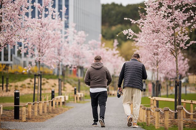 Vilnius inaugurates its new Japanese Garden