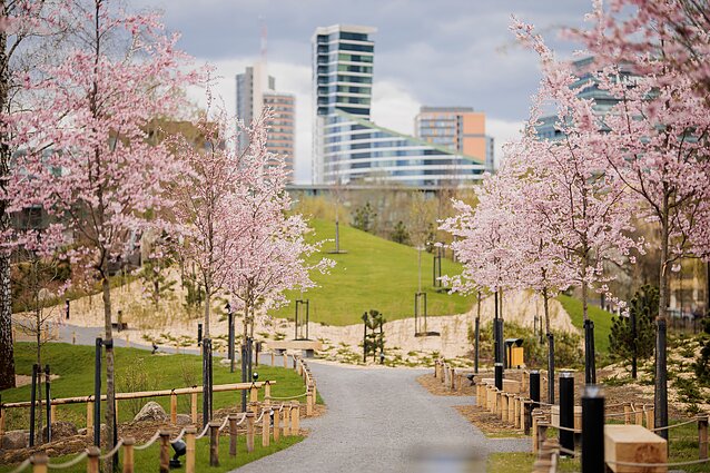 Vilnius inaugurates its new Japanese Garden