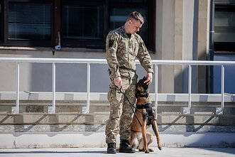 Šuns diena Lietuvos kariuomenėje
