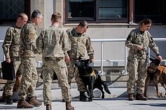 Šuns diena Lietuvos kariuomenėje