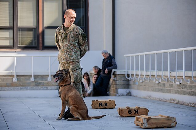Šuns diena Lietuvos kariuomenėje