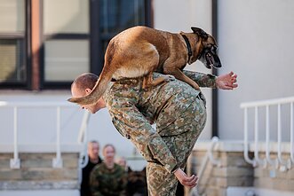 Šuns diena Lietuvos kariuomenėje