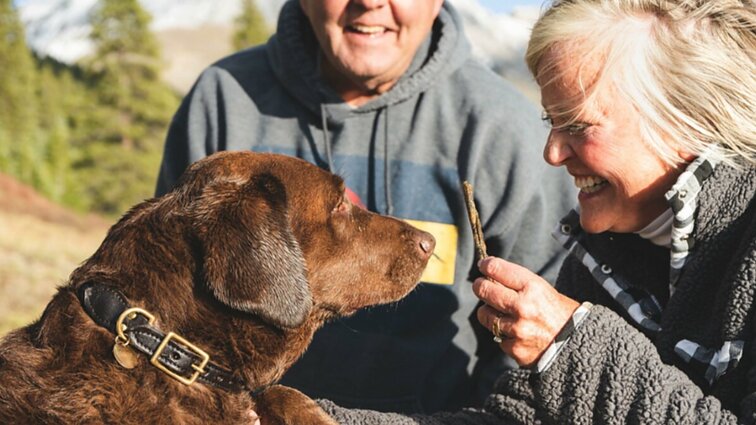 Šunys pagalbininkai – neįkainojama pagalba negalią turintiems žmonėms, tačiau jų statusas Lietuvoje vis dar neįteisintas