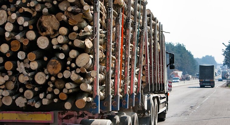 Seime kelią skinasi miškų įstatymo pakeitimas: siekiama dalį į valstybės biudžetą sumokamo mokesčio už parduotą medieną skirti vietinės reikšmės keliams
