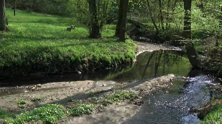 Žinios. Aplinkosaugininkai pradėjo tyrimą dėl galimos taršos Kaune Girstupio upelyje