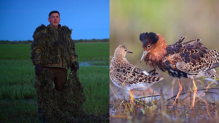 Gamtininko užrašai. Ilgakojai, ilgasnapiai, bet ne gandrai: ekspedicija, kurioje Čepulis tilvikų ieškojo