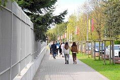 Soleczniki zdobią litewskie i białoczerwone flagi