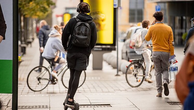 Kai du ereliai per kalnelį nesueina