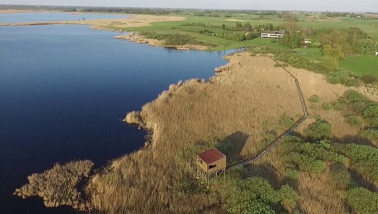 Žuvinte plintant infekcijai, apylinkių gyventojai raginami naminius paukščius uždaryti