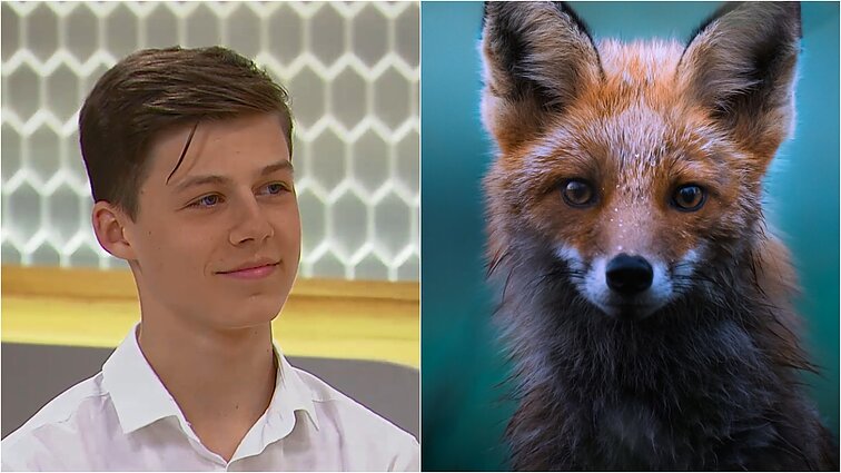 Gamtos fotografijai laisvą laiką dedikuojantis 15-metis: savaitgalį miegu po kelias valandas, nes nėra kada