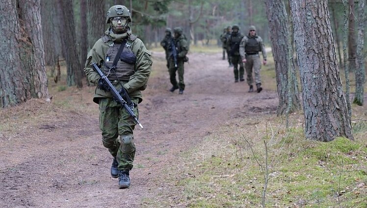 VGT pritarė siūlymui Lietuvos kariuomenėje kurti diviziją: galėtų būti suformuota 2030-aisiais