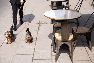 Vilnius (associative image)
