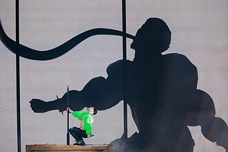 „Eurovizijos“ finalas, Suomija