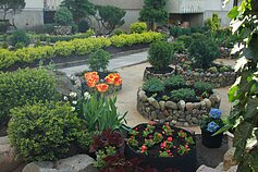 Kristina Šeniauskienė and her garden in Justiniškės, Vilnius