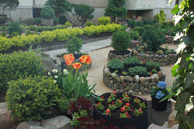 Kristina Šeniauskienė and her garden in Justiniškės, Vilnius