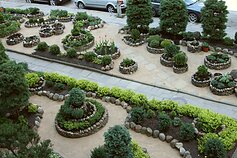 Kristina Šeniauskienė and her garden in Justiniškės, Vilnius
