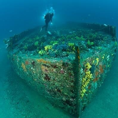 Laikas kultūrai. Vladas Žulkus: prieš šimtmečius nuskendęs laivas yra tarsi laiko kapsulė, kurioje žmonių gyvenimai