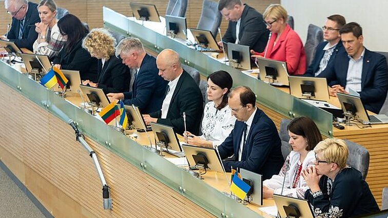 Apžvalgininkė: ne visuomenė kalta, kad 20 metų dirbantys politikai nesutvarkė įstatymų