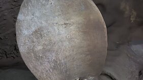 Можно различить серийный номер на гребном винте Можно различить серийный номер на гребном винте
