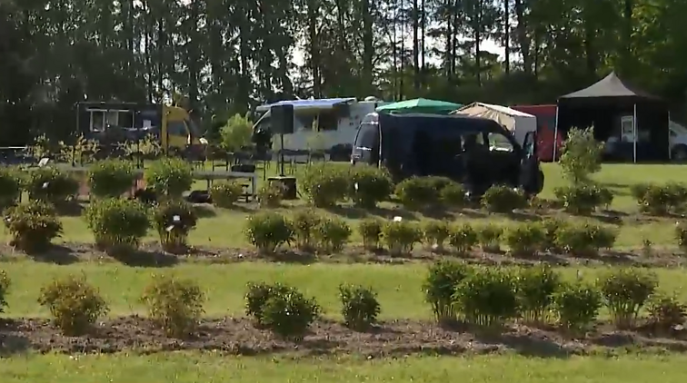 Džiazas, poezija ir dainos: VU Botanikos sodas Kairėnuose kviečia į pirmąjį „Pikniką alyvose“