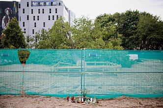 Vilniuje nukirstas ąžuolas sukėlė daug aistrų ir pasipiktinimo Vilniuje nukirstas ąžuolas sukėlė daug aistrų ir pasipiktinimo