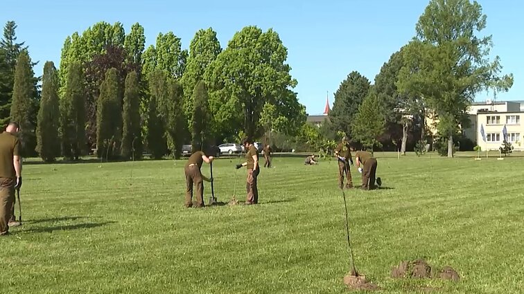 770-ąjį gimtadienį švenčiančiai Kretingai – tiek pat pasodintų medžių