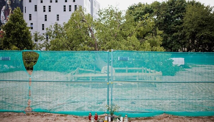 Miesto antropologė Lavrinec apie nukirstą ąžuolą: reikia tokių baudų, kad vystytojams jos nebūtų juokingos