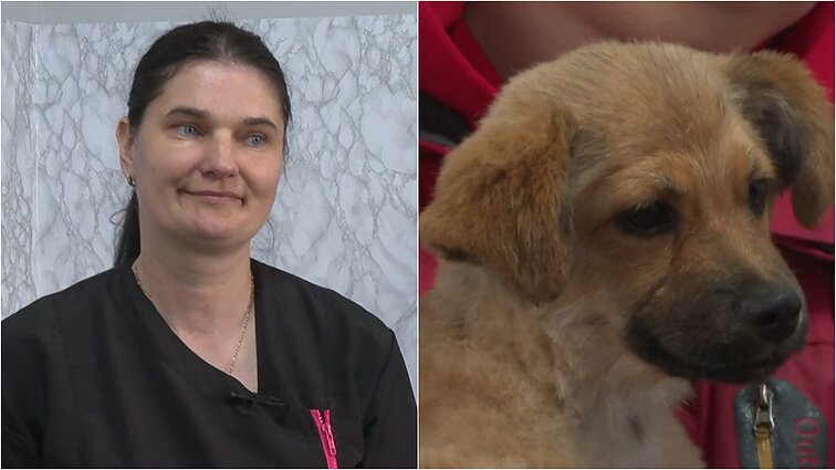 Vienintelės šunų kirpyklos Lazdijų rajone savininkė Ženeta apie verslo pradžią: pirmiausia norėjau sužinoti, kaip susitvarkyti savo augintinį