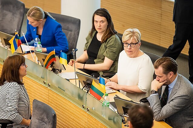 Politologė apie įsisiūbuojančią politinę krizę: pirmalaikiai rinkimai nėra pats blogiausias žingsnis konservatoriams