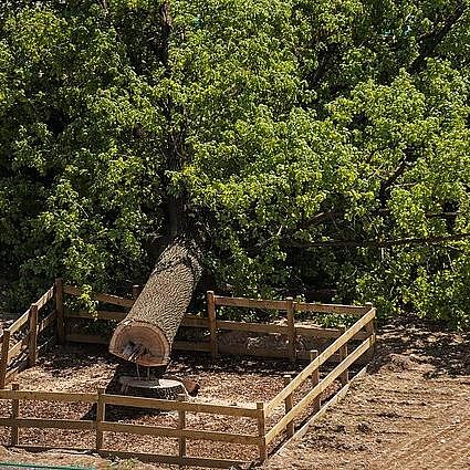 60 minučių. Ažuolo Vilniaus centre pjovėjams – 141 tūkst. eurų bauda