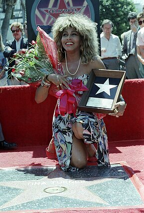 Tina Turner Tina Turner