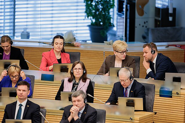 Politologė apie pirmalaikių rinkimų idėją: galime turėti situaciją, kuri visiškai paralyžiuos politinę sistemą