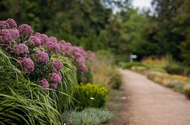 Paryžiuje netrukus atsiras Lietuvos sodai: atidarymas planuojamas jau kitų metų pradžioje
