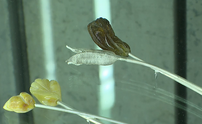 Dailininkų sąjungos galerijoje – ekspozicija „Regėti ir nešioti“: eksponuojami 12 Lietuvos metalo menininkų kūriniai