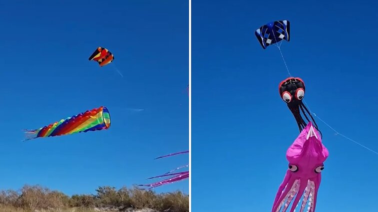 Neregėtas renginys Klaipėdoje: šeštadienį uostamiestis kviečia aplankyti aitvarų festivalį