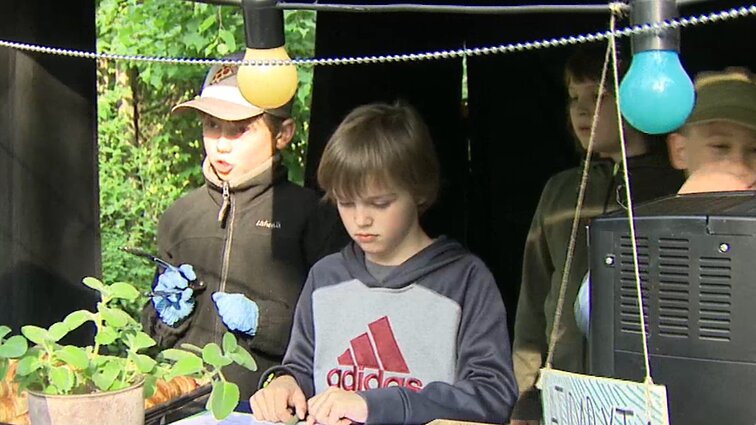 Projektas, mokantis verslumo: Vilniaus mokykloje vaikai darbuojasi pačių valdomoje lauko kavinėje