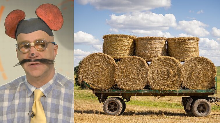 Peliukai apie kritulių trūkumą: pats laikas atsiimti patyčias dėl baigiamojo egzamino temos apie žemdirbystės kultūrą?