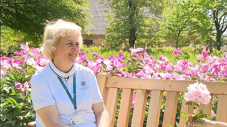 „Didelis žiedas nebūtinai turės malonų kvapą“: VDU Botanikos sodo kuratorės patarimai, kaip auginti bijūnus