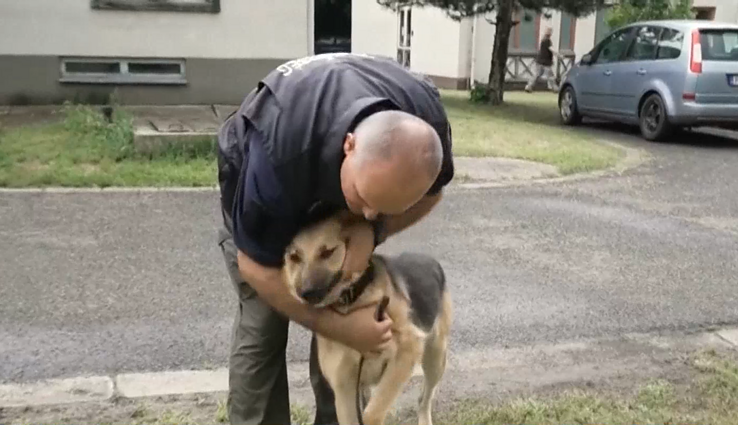 Raketų atakos metu sunkiai sužeistas vokiečių aviganis Rembo dabar tarnauja Vengrijos policijoje