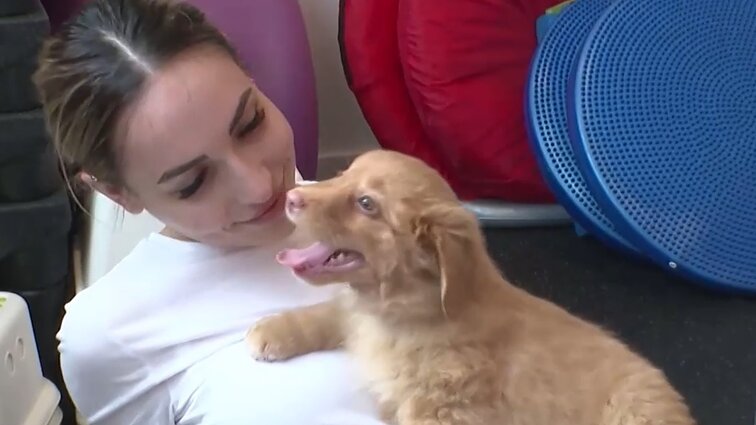 Joga ir šuniukai – netgi labai suderinami dalykai: iš JAV kilusios „doga“ treniruotės neseniai pradėtos ir Lietuvoje