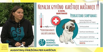 L. Stakauskaitė primena per karščius nepalikti augintinio autombilyje