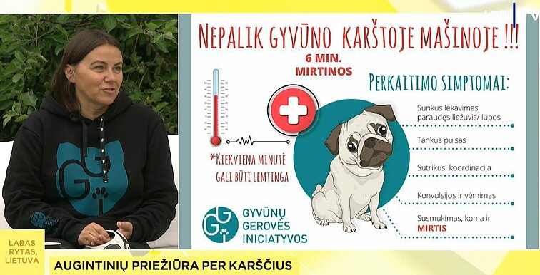 L. Stakauskaitė primena per karščius nepalikti augintinio autombilyje