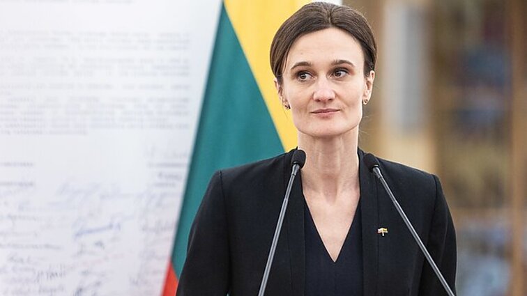 Čmilytė-Nielsen apie Žemaitaičio pasisakymus: mano asmeniniu vertinimu, tai išeina už visų įmanomų ribų