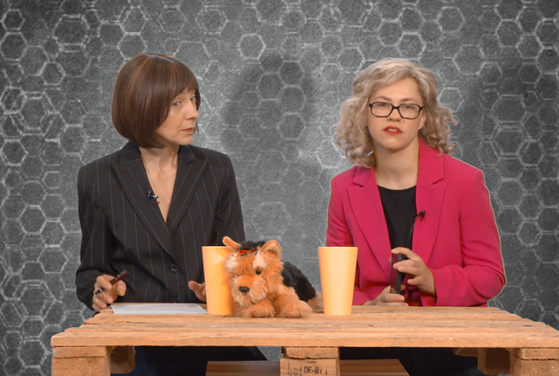 Dviračio žinios. Aušrinė Armonaitė: nekreipiame dėmesio į reitingus, nes jie labai numuša nuotaiką