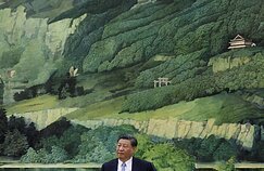 Xi Jinpingas