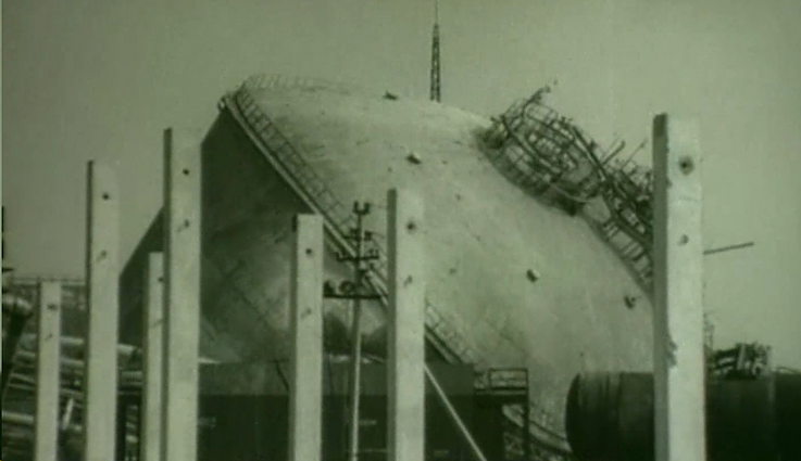 (Pra)rasta karta. Ekologinė katastrofa sovietmečiu lėmė dangų be paukščių