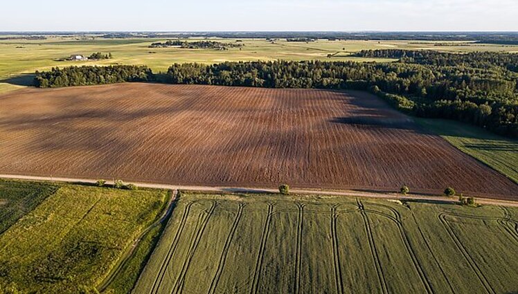 Diskusijos netyla ir pratęsus pasėlių deklaravimo terminą: ūkininkai naująsias taisykles vadina iššūkiu